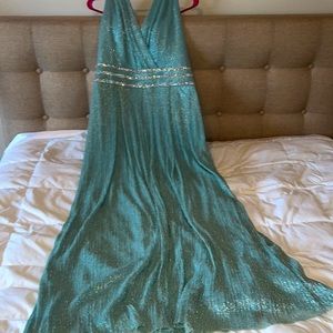 R&M Richards gown size 14 beautiful collar and shimmer.